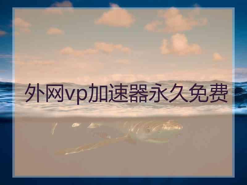 外网vp加速器永久免费