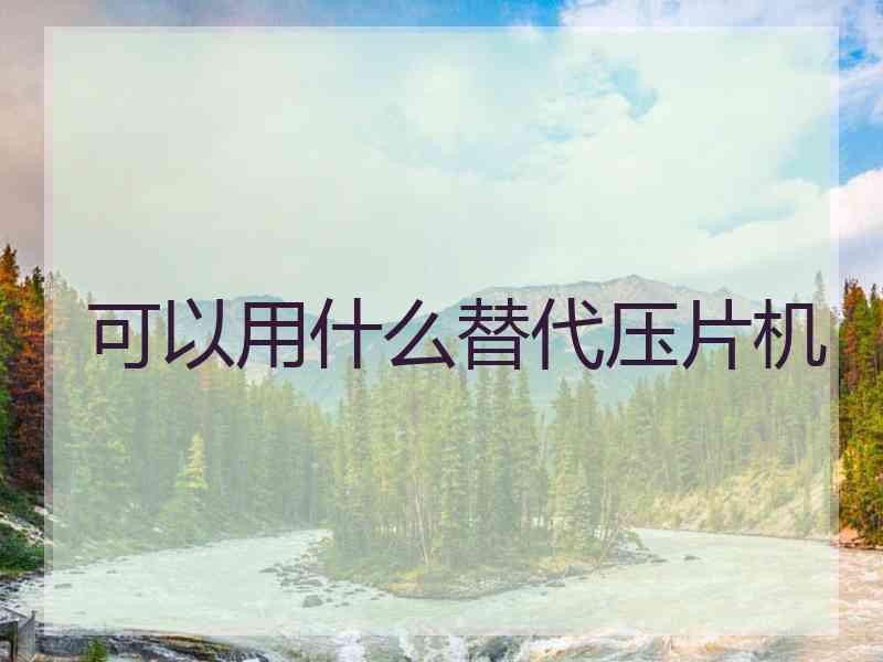 可以用什么替代压片机