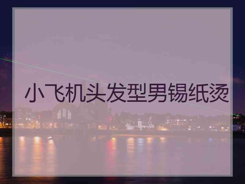 小飞机头发型男锡纸烫