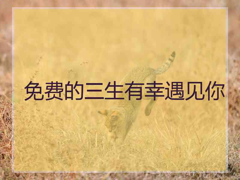 免费的三生有幸遇见你