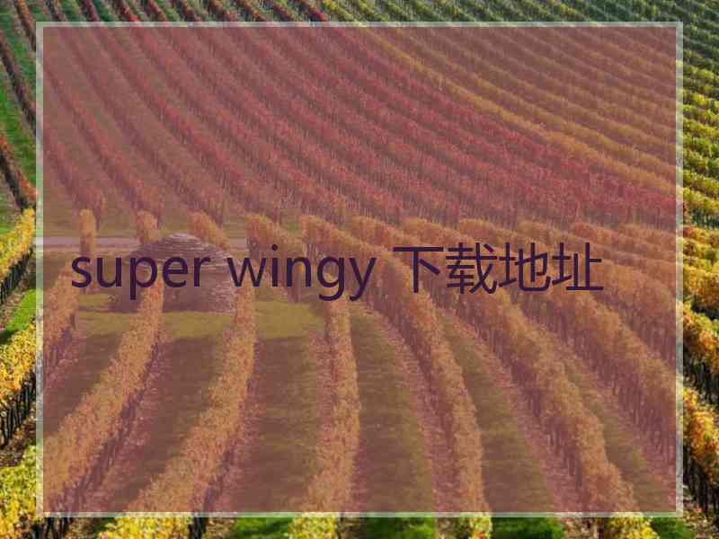 super wingy 下载地址