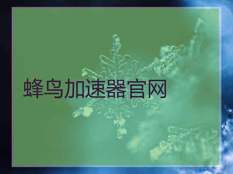 蜂鸟加速器官网