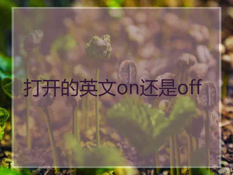 打开的英文on还是off