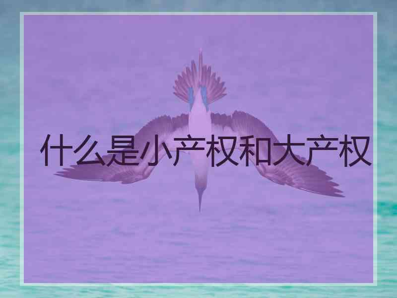 什么是小产权和大产权