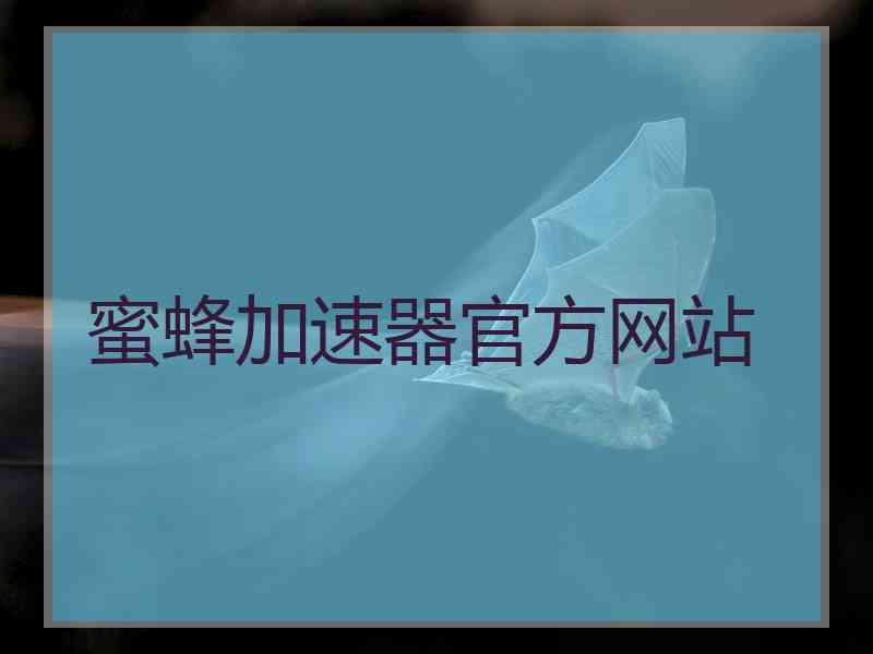 蜜蜂加速器官方网站