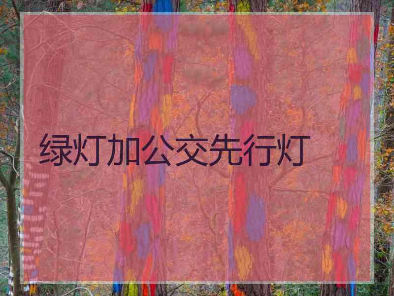 绿灯加公交先行灯