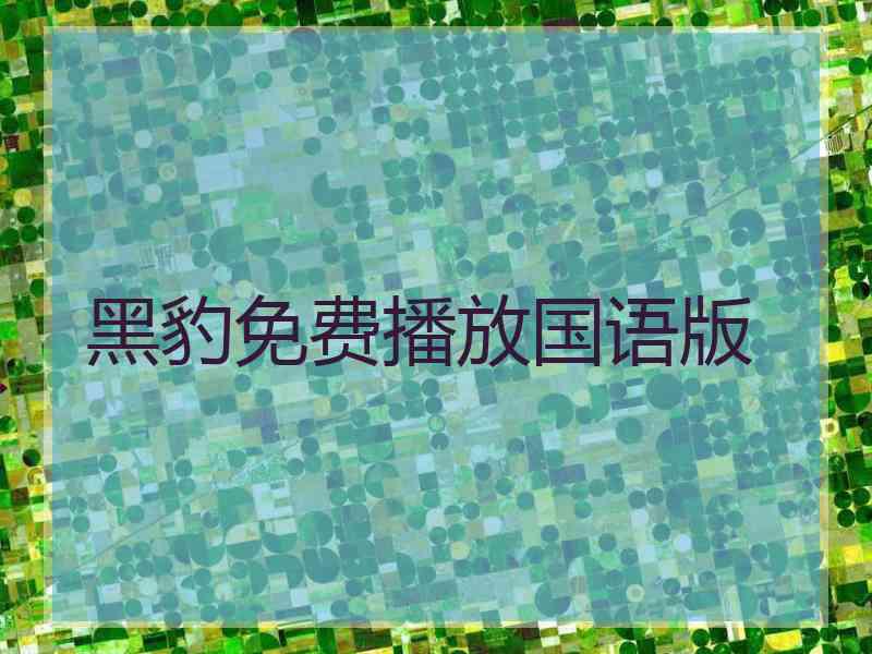 黑豹免费播放国语版