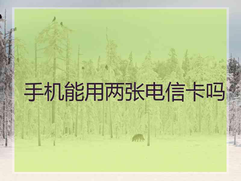 手机能用两张电信卡吗