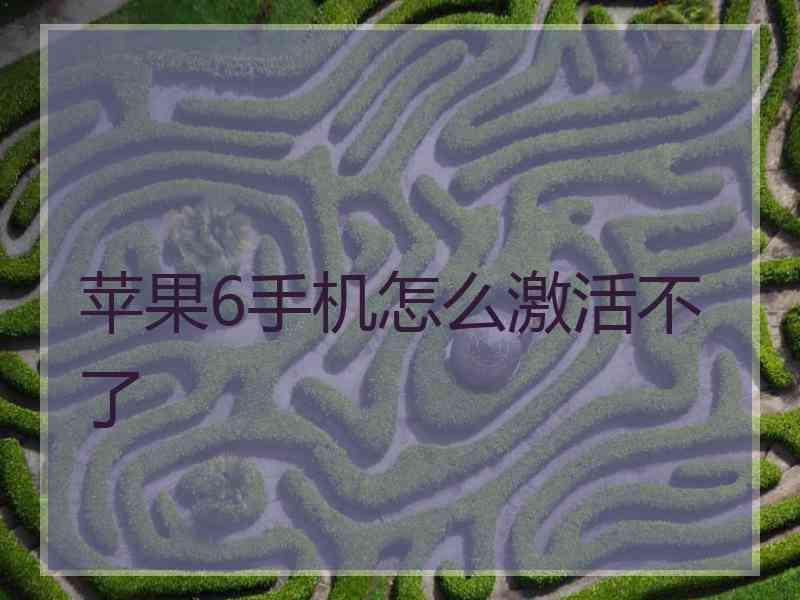 苹果6手机怎么激活不了