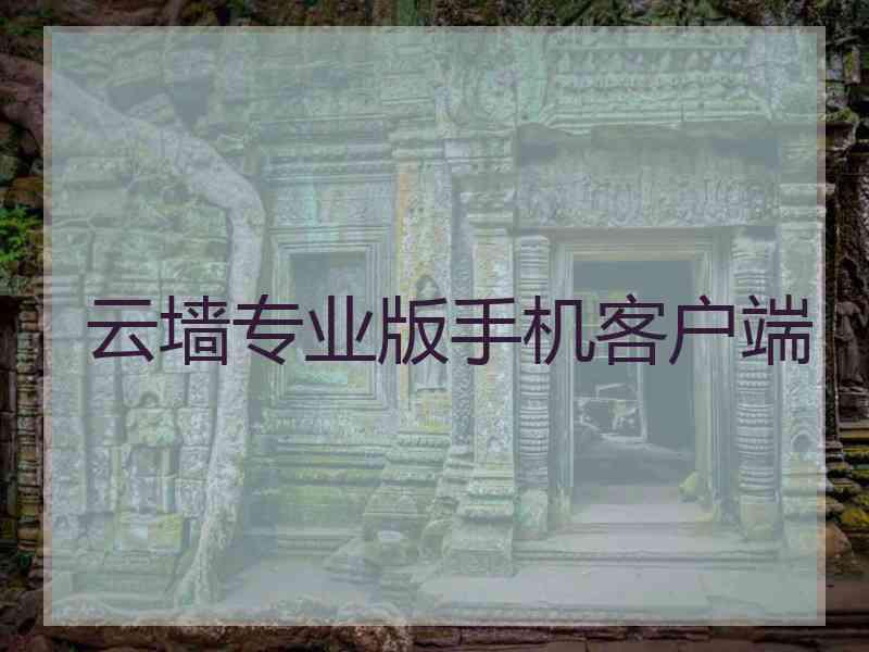 云墙专业版手机客户端