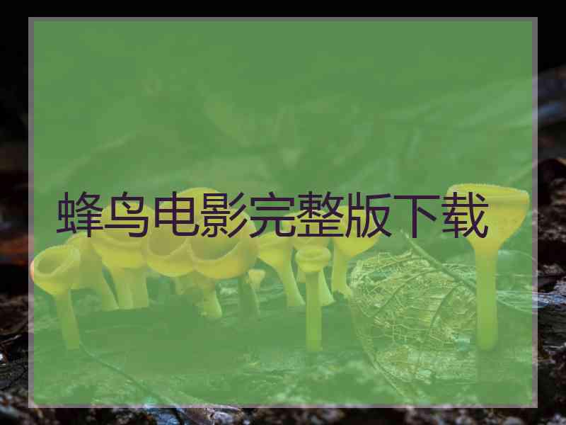 蜂鸟电影完整版下载