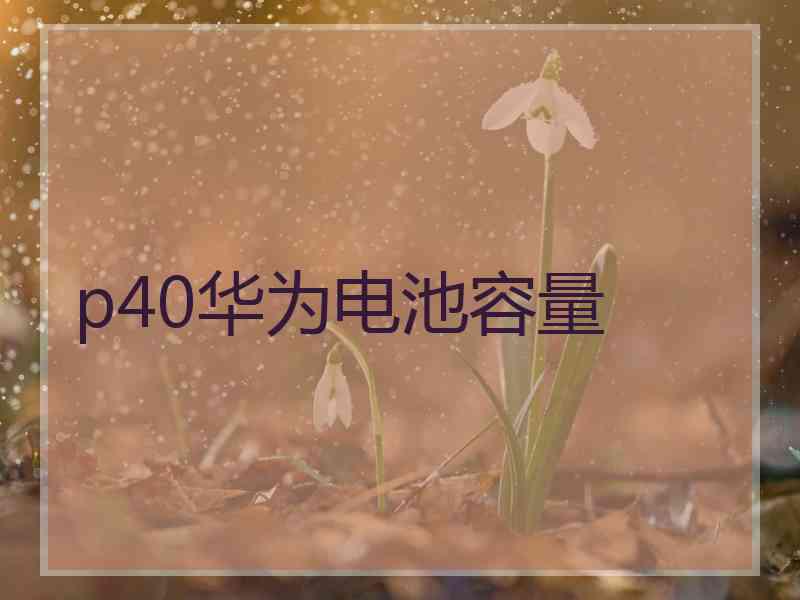 p40华为电池容量