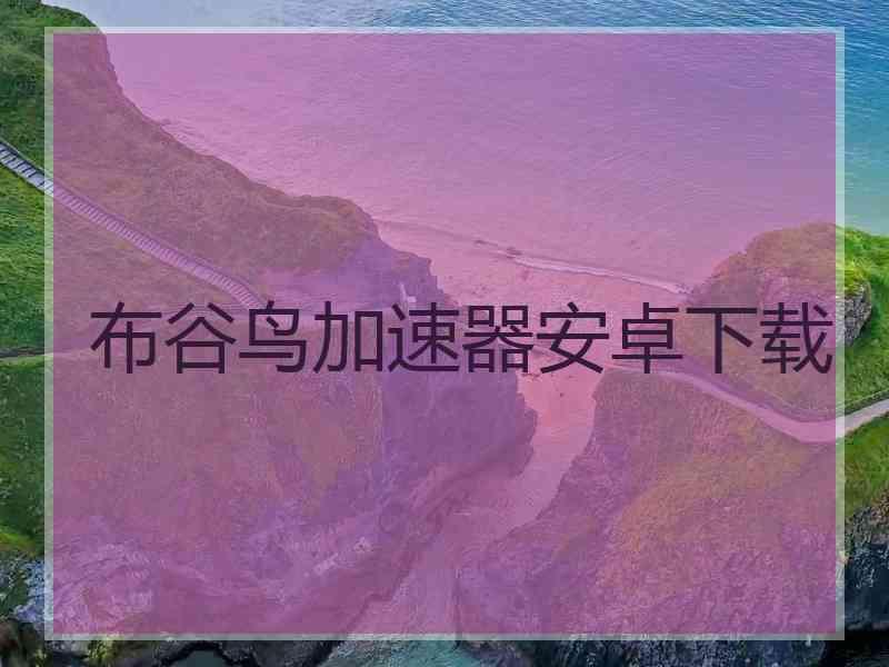布谷鸟加速器安卓下载