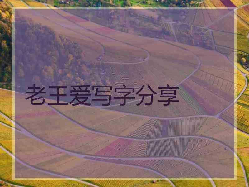 老王爱写字分享