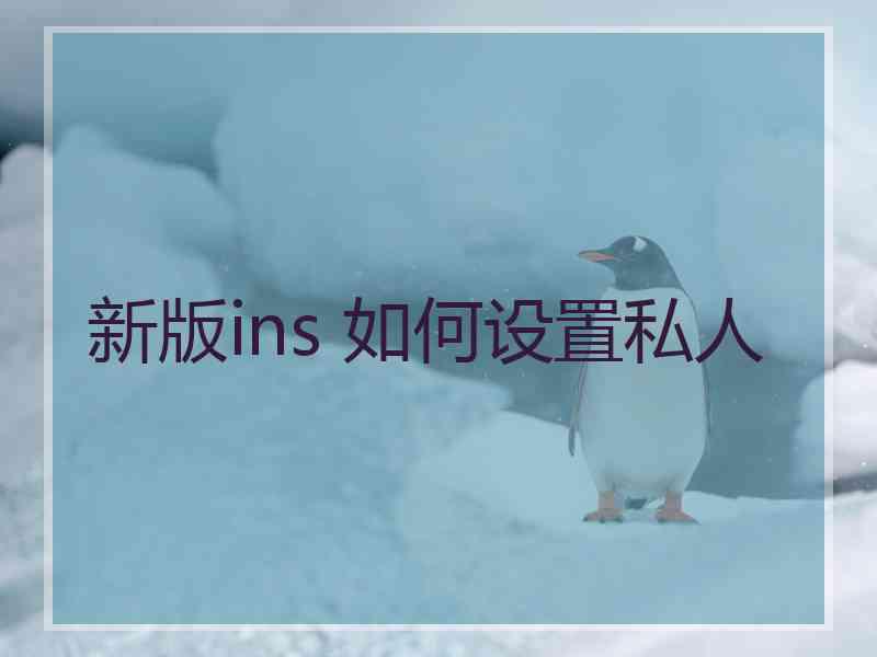 新版ins 如何设置私人