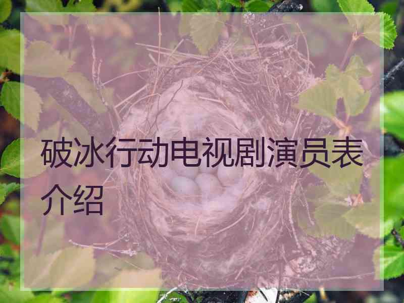 破冰行动电视剧演员表介绍