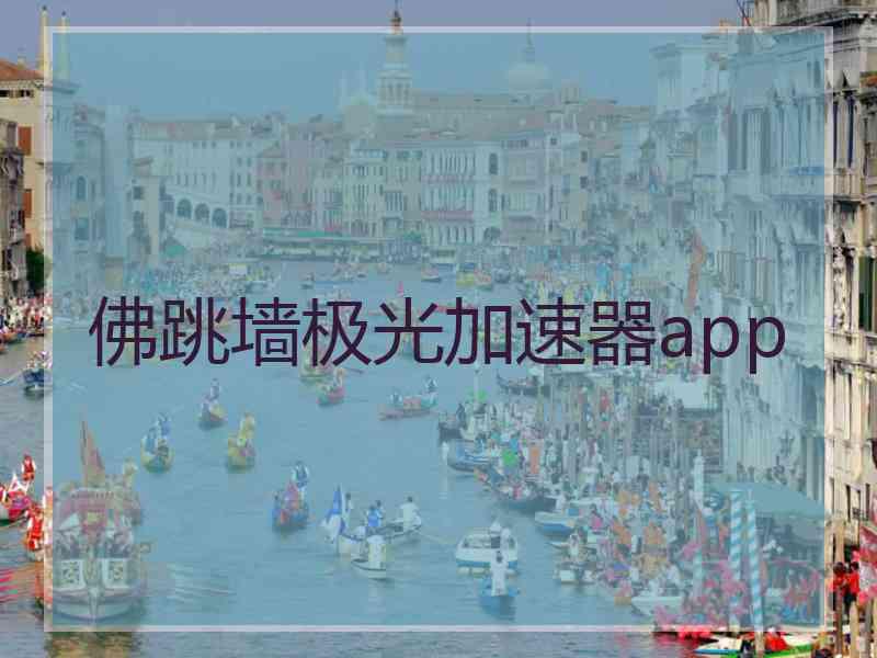 佛跳墙极光加速器app