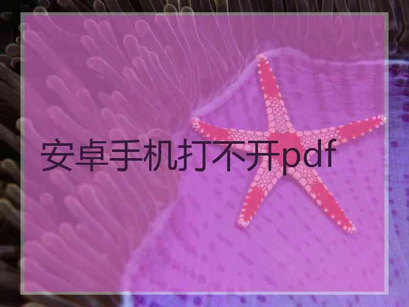 安卓手机打不开pdf