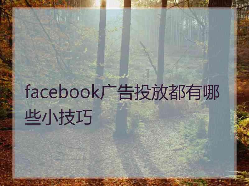 facebook广告投放都有哪些小技巧