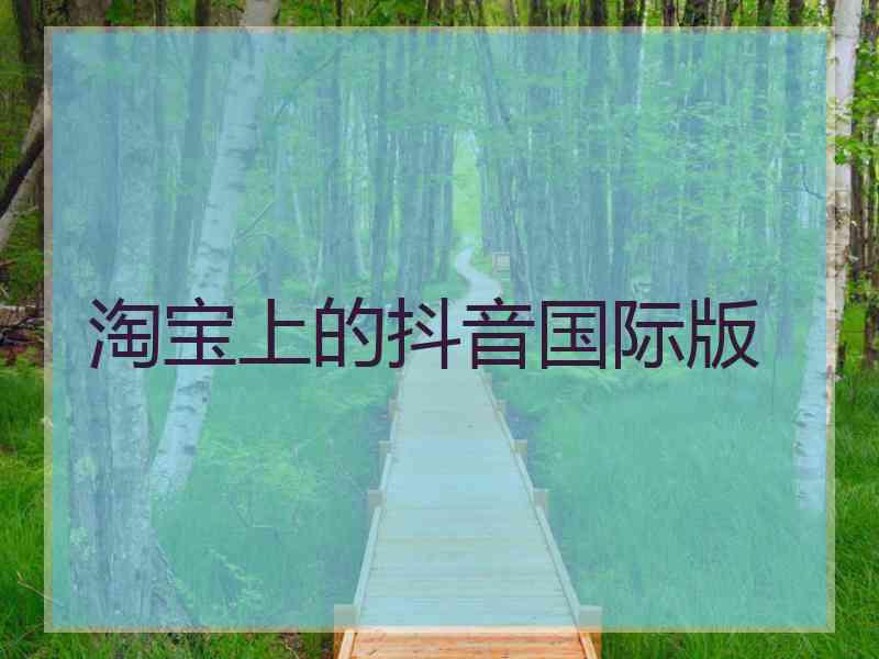 淘宝上的抖音国际版