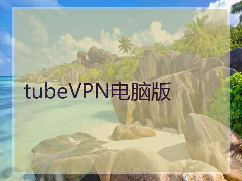 tubeVPN电脑版