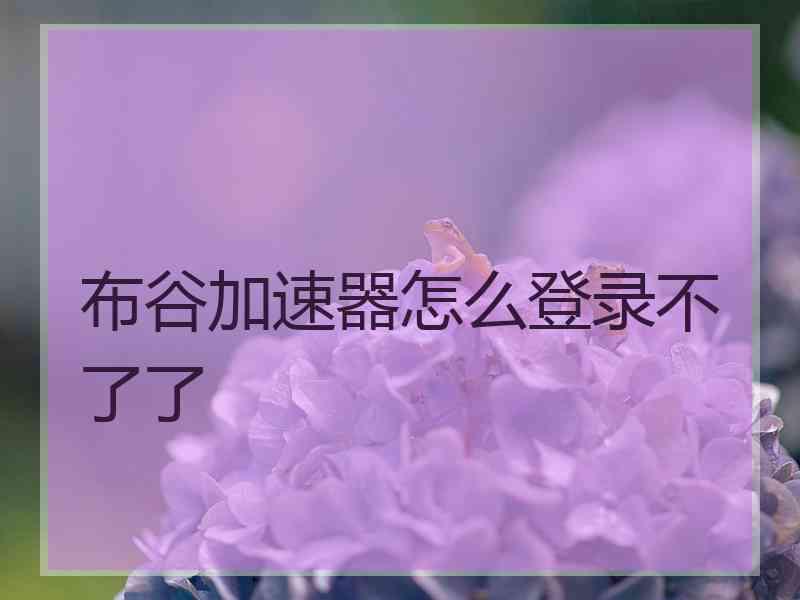 布谷加速器怎么登录不了了