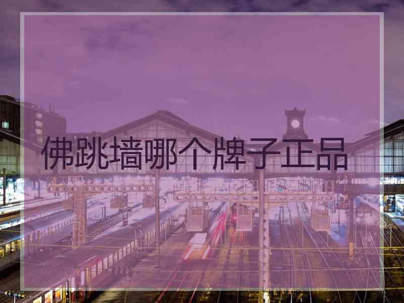 佛跳墙哪个牌子正品