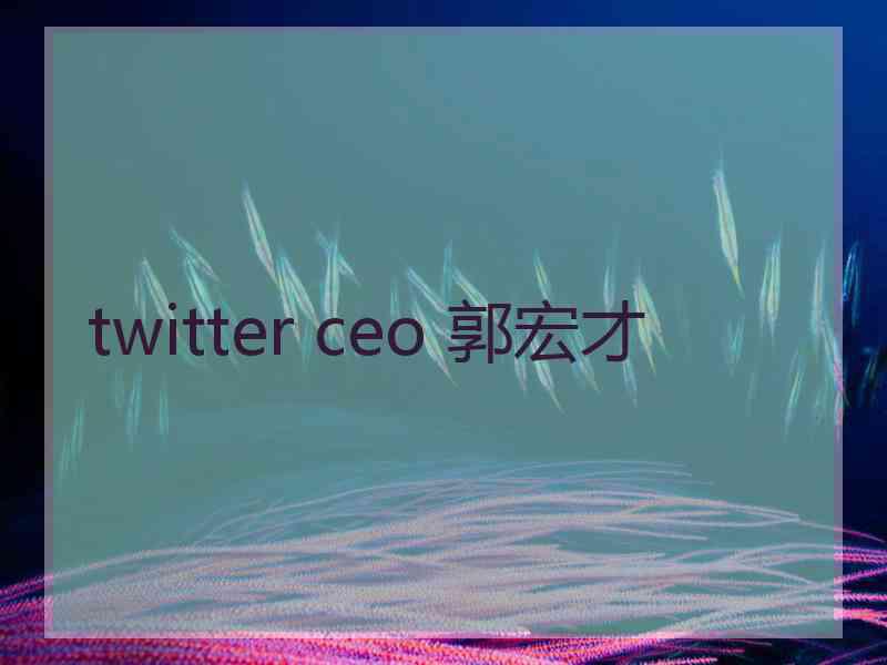 twitter ceo 郭宏才