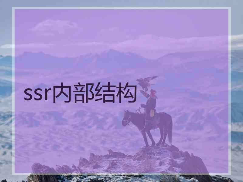 ssr内部结构