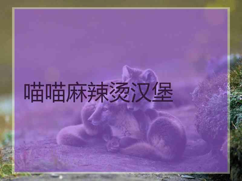 喵喵麻辣烫汉堡