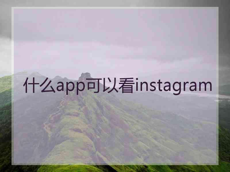 什么app可以看instagram