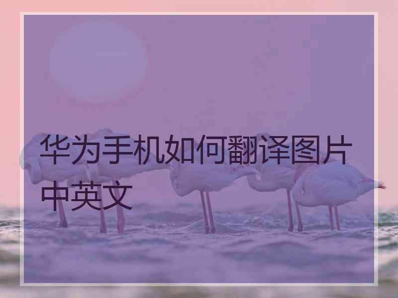 华为手机如何翻译图片中英文