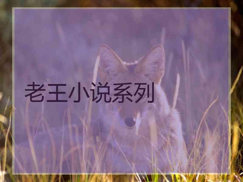 老王小说系列