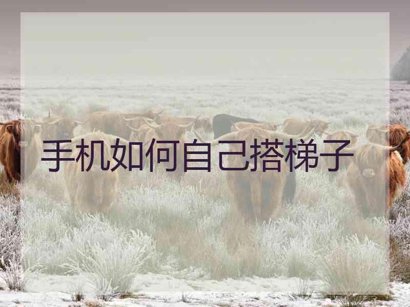 手机如何自己搭梯子