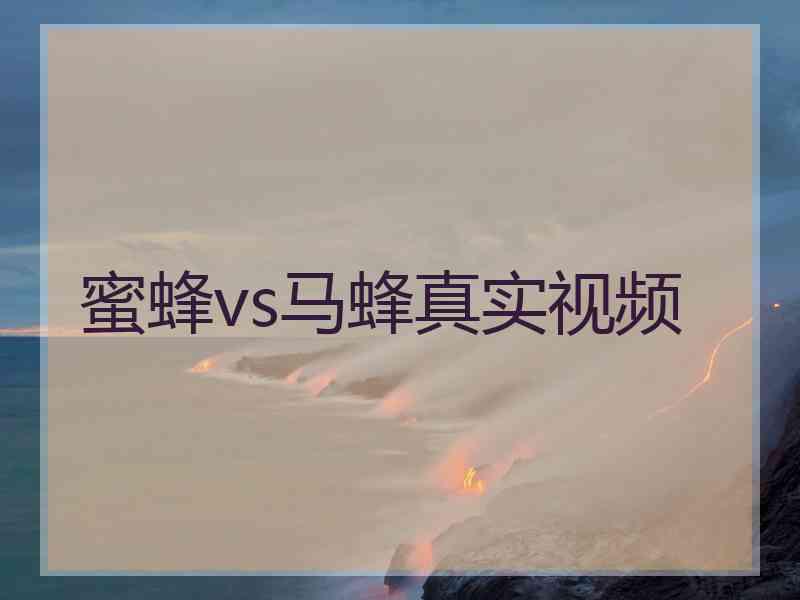 蜜蜂vs马蜂真实视频