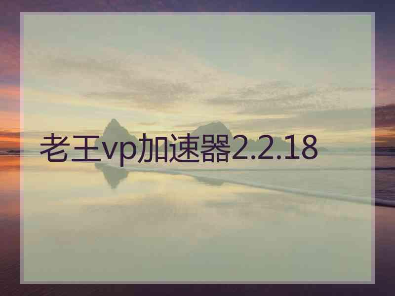 老王vp加速器2.2.18