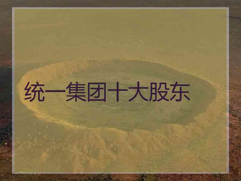 统一集团十大股东