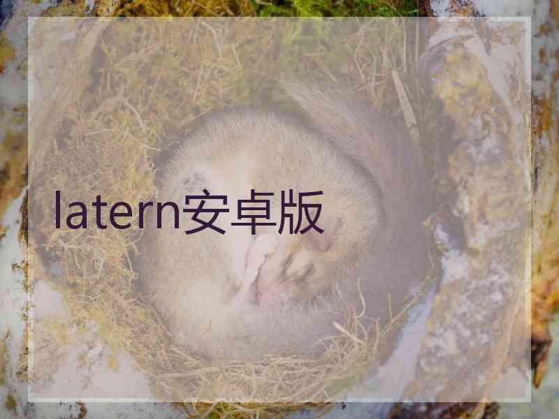 latern安卓版