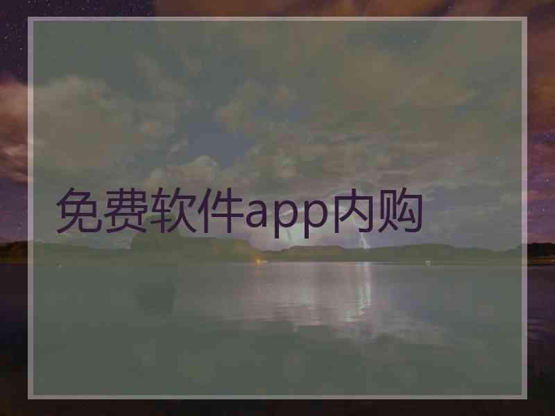 免费软件app内购