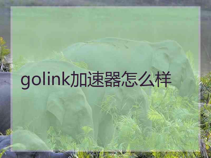 golink加速器怎么样