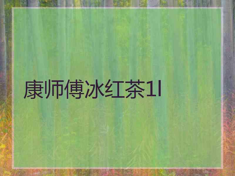 康师傅冰红茶1l