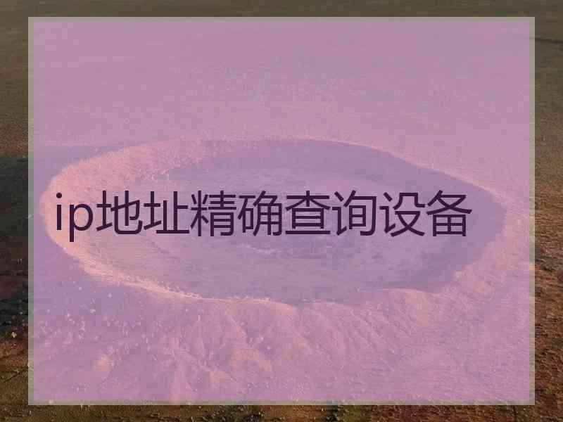 ip地址精确查询设备