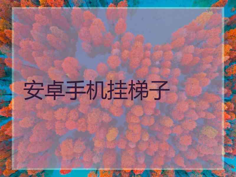安卓手机挂梯子