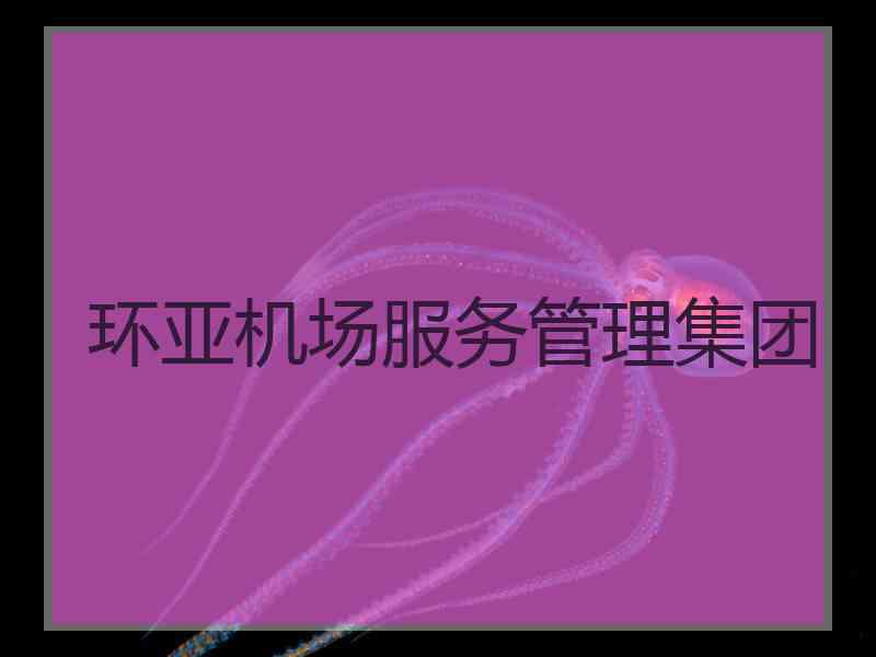 环亚机场服务管理集团