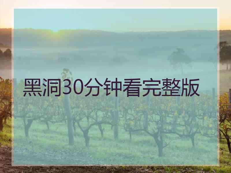 黑洞30分钟看完整版
