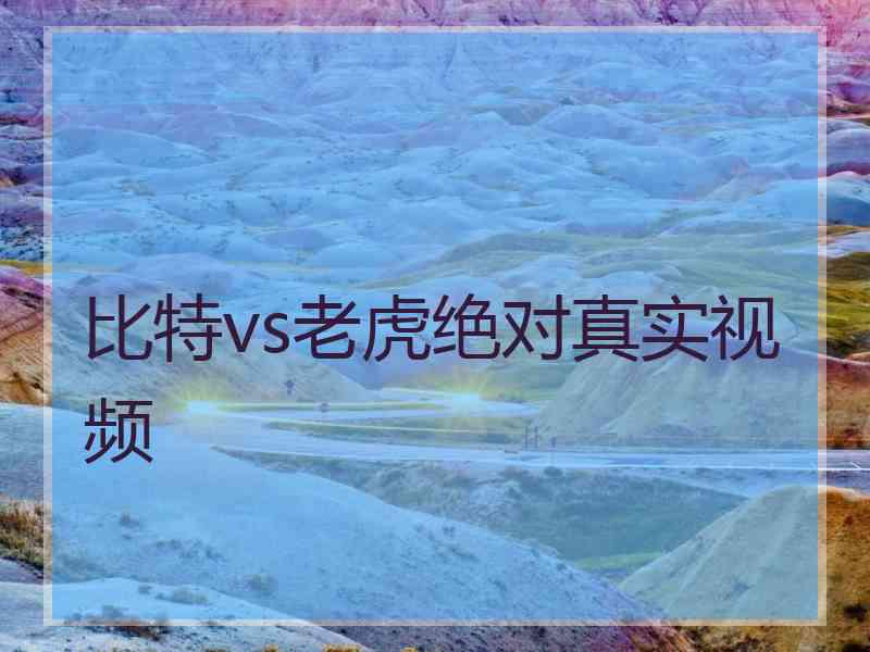 比特vs老虎绝对真实视频