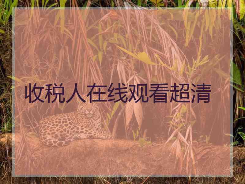 收税人在线观看超清