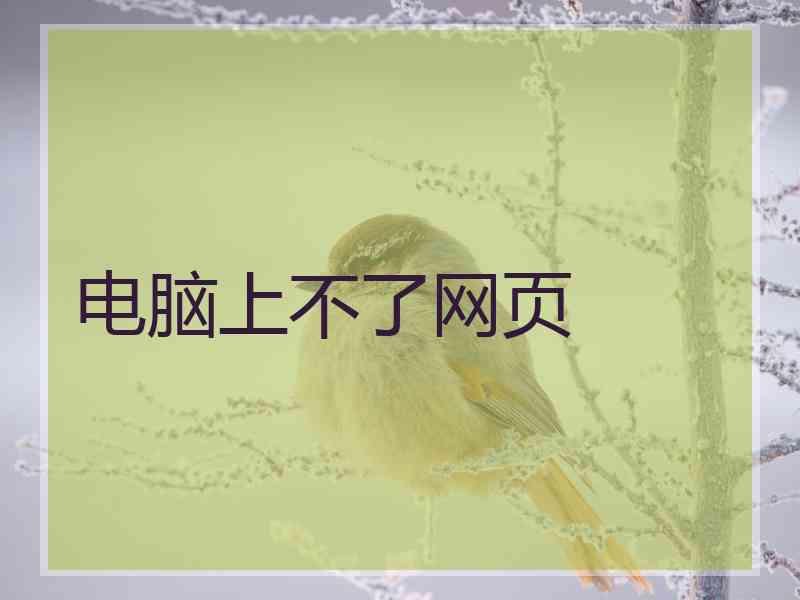 电脑上不了网页