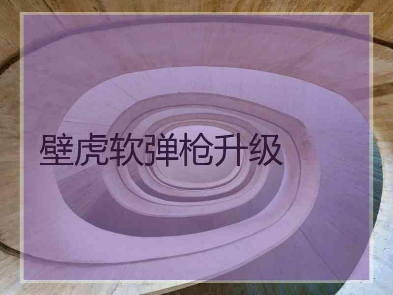 壁虎软弹枪升级