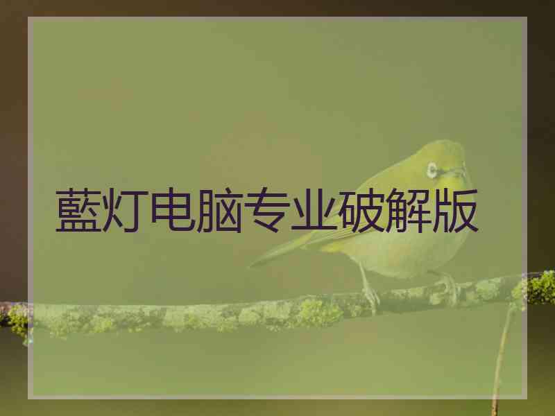 藍灯电脑专业破解版